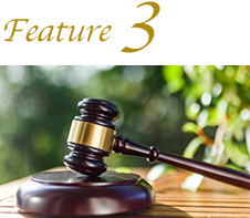Feature 3